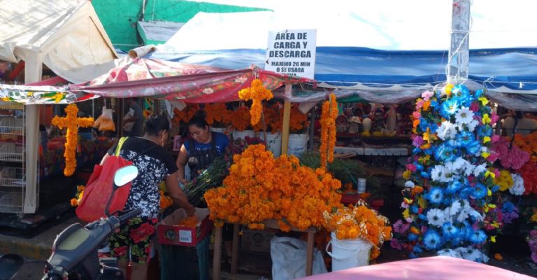 Los mercados de Cancún ya comienzan a vender las flores de los muertos Los mercados de Cancún ya comienzan a vender las flores de los muertos