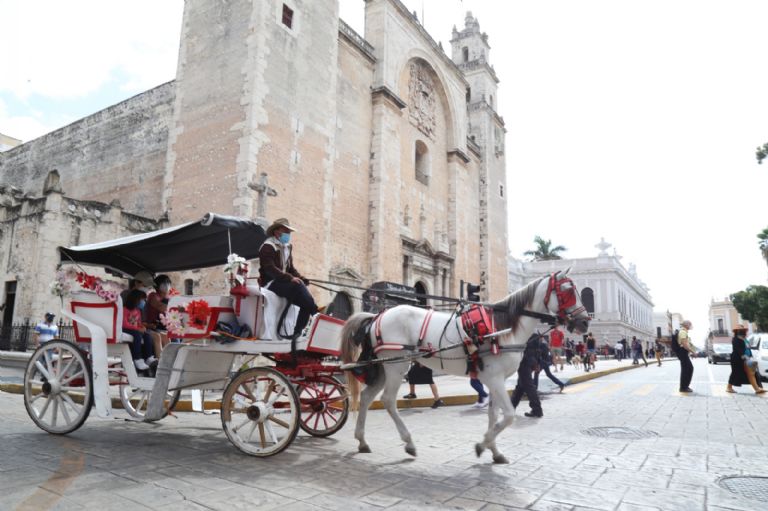 Animalistas piden cárcel para el calesero que golpeó a un caballo en el Centro de Mérida