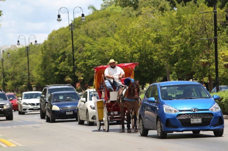 Animalistas anuncian protesta en contra de las calesas con caballos en el Centro de Mérida