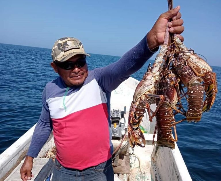 Temporada de langosta, con saldo blanco en el Litoral Oriente de Yucatán