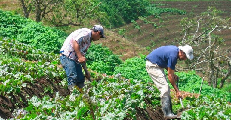 La economía de México creció 1% en el tercer trimestre de 2024 gracias al impulso del sector agropecuario