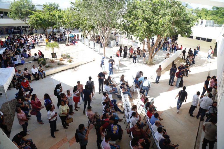 Estudiantes buscaran ingresar a alguna licenciatura de la UADY Estudiantes buscaran ingresar a alguna licenciatura de la UADY