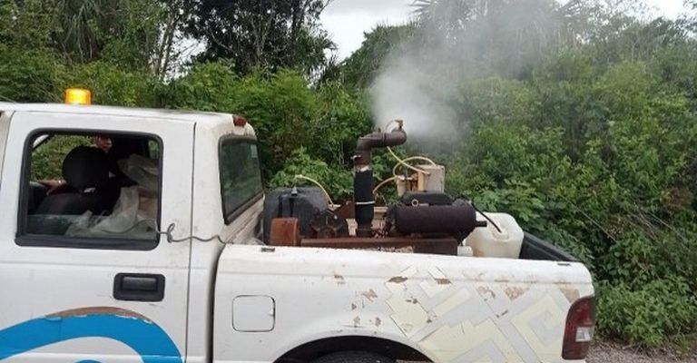 Muertes por dengue en México llegan a 101 Muertes por dengue en México llegan a 101