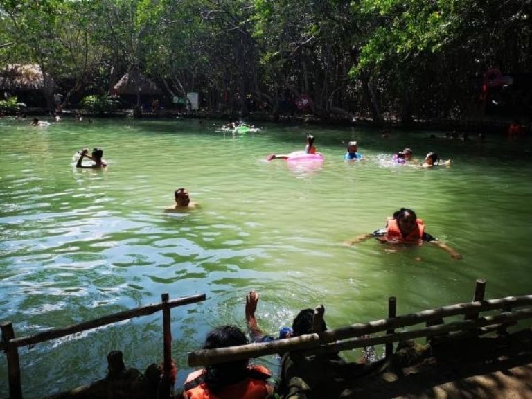 Hay cenotes ubicados en diversos puntos del estado