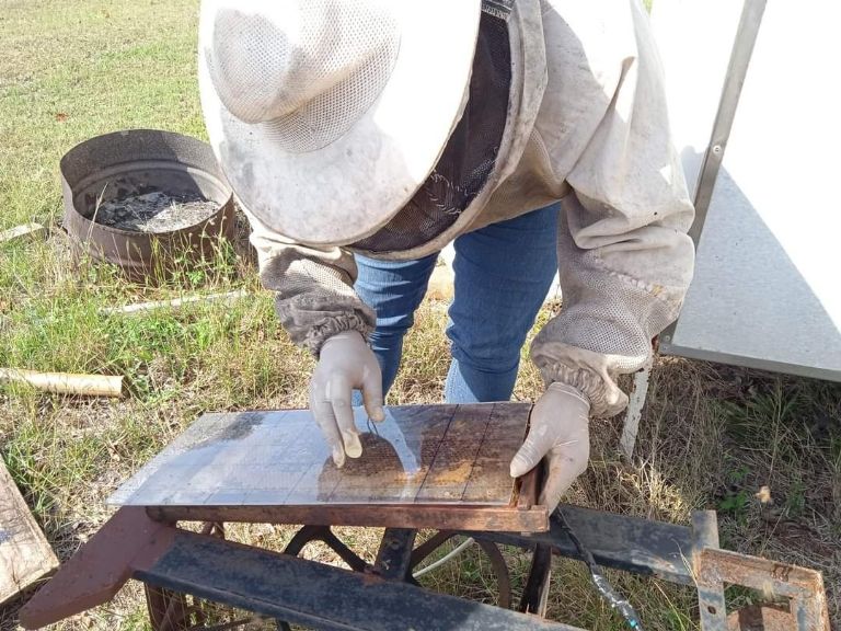 La Semarnat sugiere monitoreo activo y campañas de concientización sobre el uso de plaguicidas La Semarnat sugiere monitoreo activo y campañas de concientización sobre el uso de plaguicidas