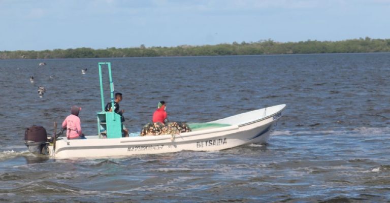La pesca furtiva continúa en la costa de Yucatán La pesca furtiva continúa en la costa de Yucatán