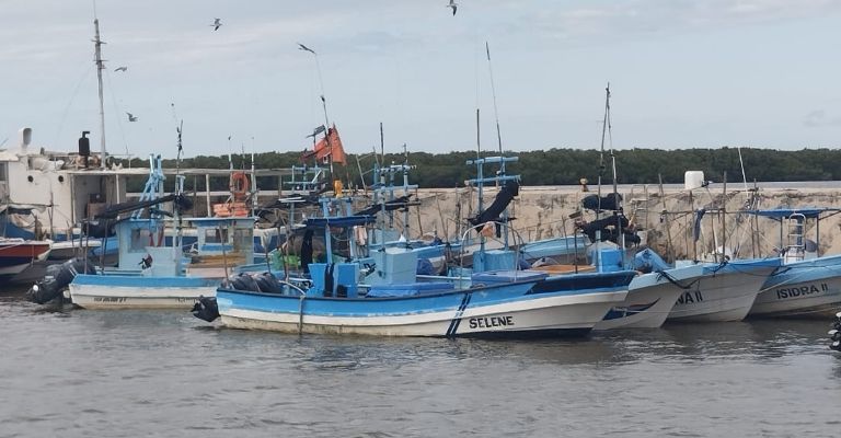 Dueños de embarcaciones han sido extorsionados Dueños de embarcaciones han sido extorsionados