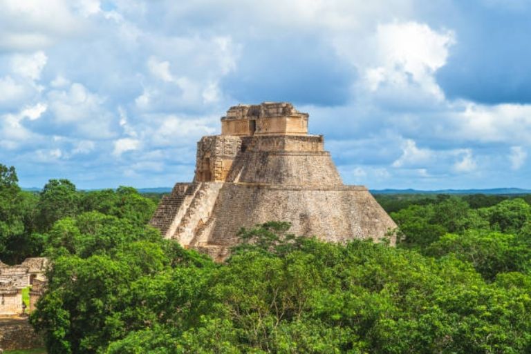 Greenpeace denuncia a Grupo Xcaret por la construcción de nueve hoteles en la selva de Yucatán  