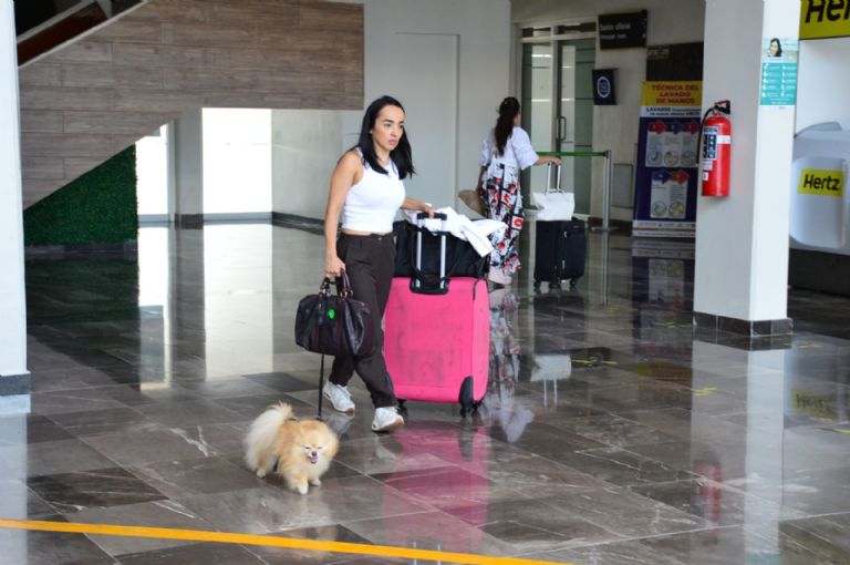 Las mascotas también pueden viajar con sus dueños en avión Las mascotas también pueden viajar con sus dueños en avión