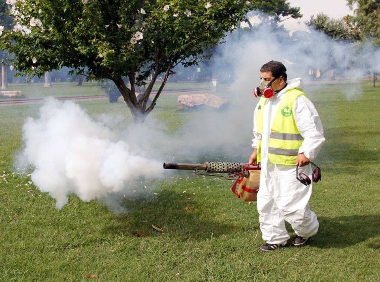 Se han iniciado campañas de fumigación Se han iniciado campañas de fumigación